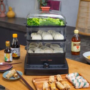 cuiseur vapeur livoo w noir doc