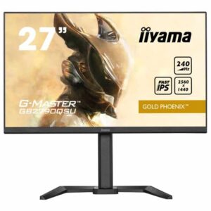 ECRAN GAMING IIYAMA G MASTER GBQSU B  » WQHD FAST IPS HZ