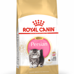 fbn packshot persian kitten