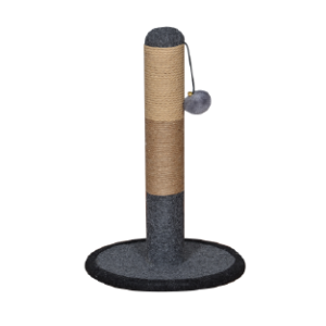 griffoires chat felicqn tunisie