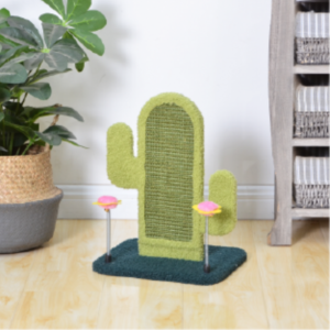 griffoires chat felicqn tunisie