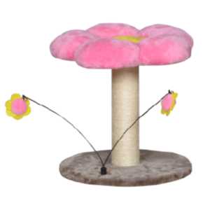 griffoires chat felicqn tunisie eca fbf df c efcfca