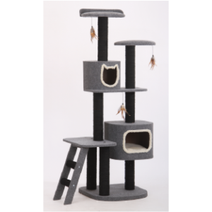 griffoires chat felicqn tunisie