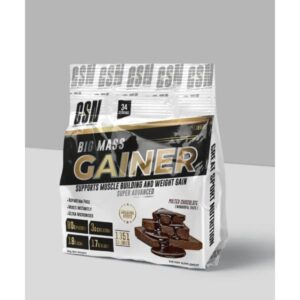 gsn big mass gainer kg