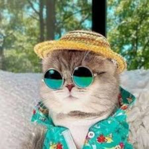 images ca ac a add eeadf