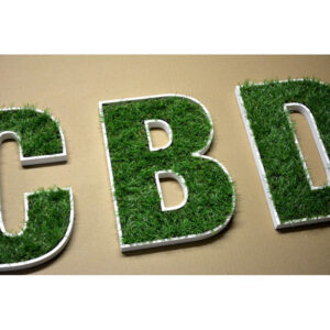 lettre logo vegetal exterieur