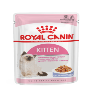 royal canin kitten jelly gr