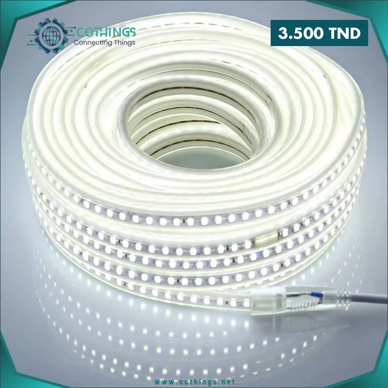 Ruban Led 220v Blan Froid LED2835 120 Led par metre 1 ruban led v blan froid led metre cothings