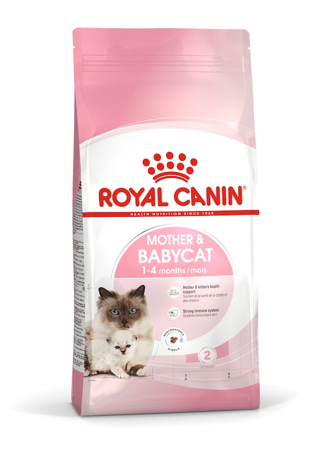 ROYAL CANIN - CROQUETTES MOTHER & BABYCAT 2KG 1 sol mother babycat dry packshot b