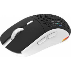 Souris Gamer AQIRYS TGA ALPHA DOUBLE MODE RGB Blanc et Noir