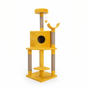 telechargement aac ad feddcc