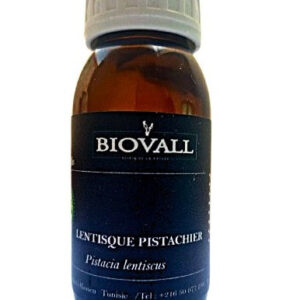 scwuruluws fb d bcca