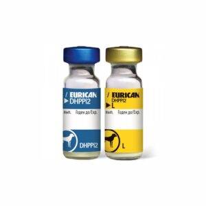 Vaccin chien تلقيح للكلاب eurican