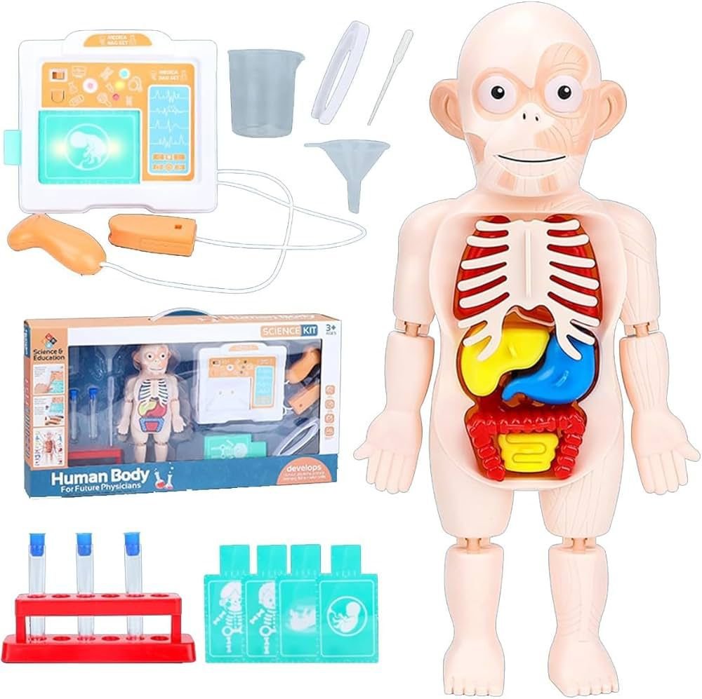 JEU ÉDUCATIF SCIENCE 1 JEU ÉDUCATIF SCIENCE