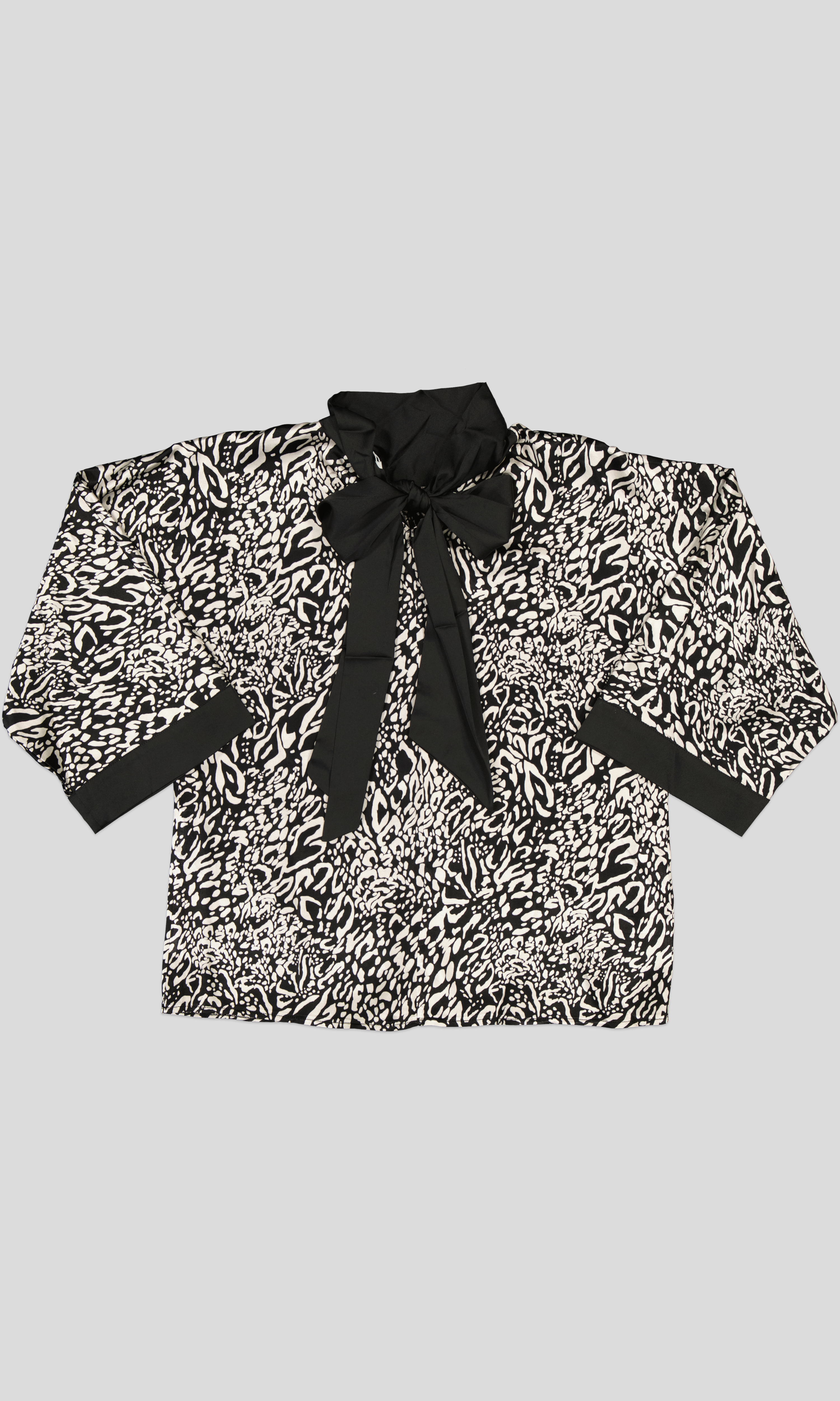 CHEMISE 1 WP WP png