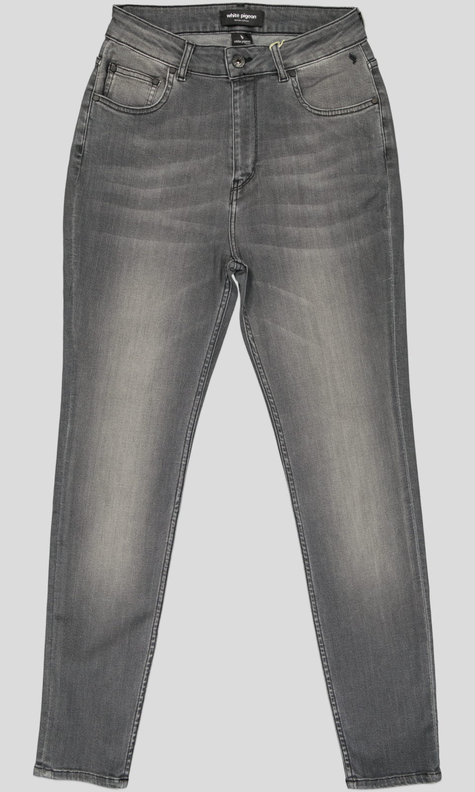 WPJAF brax WP scaled png