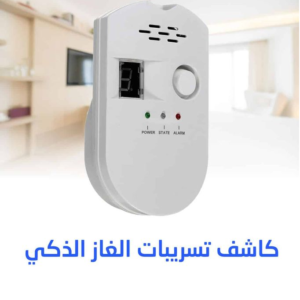 Détecteur Electrique De Fuite De Gaz Blanc