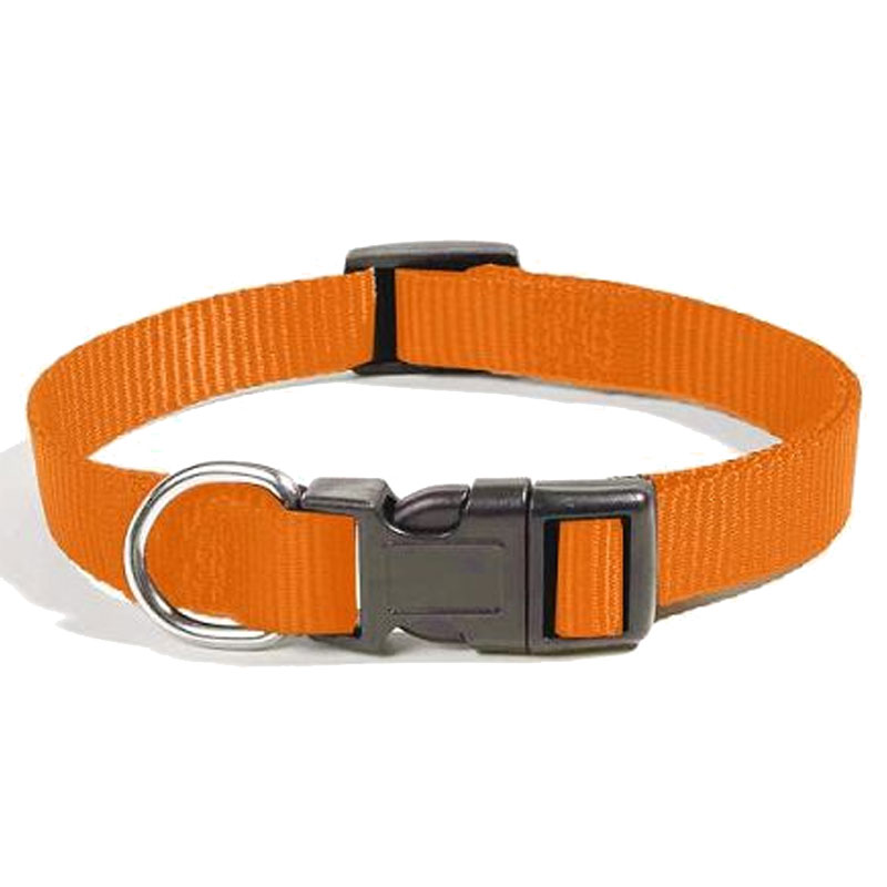 Collier pour Chien ZANILOVE 10mm - Orange 1 Collier pour Chien ZANILOVE 10mm - Orange