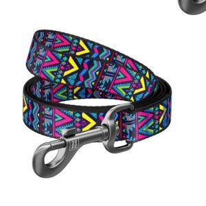 Laisse NYLON INDIE 15mm Pour Chien - Assortis