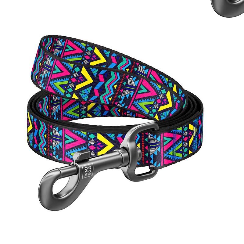 Laisse NYLON INDIE 15mm Pour Chien - Assortis 2 Laisse NYLON INDIE 15mm Pour Chien - Assortis – Image 2