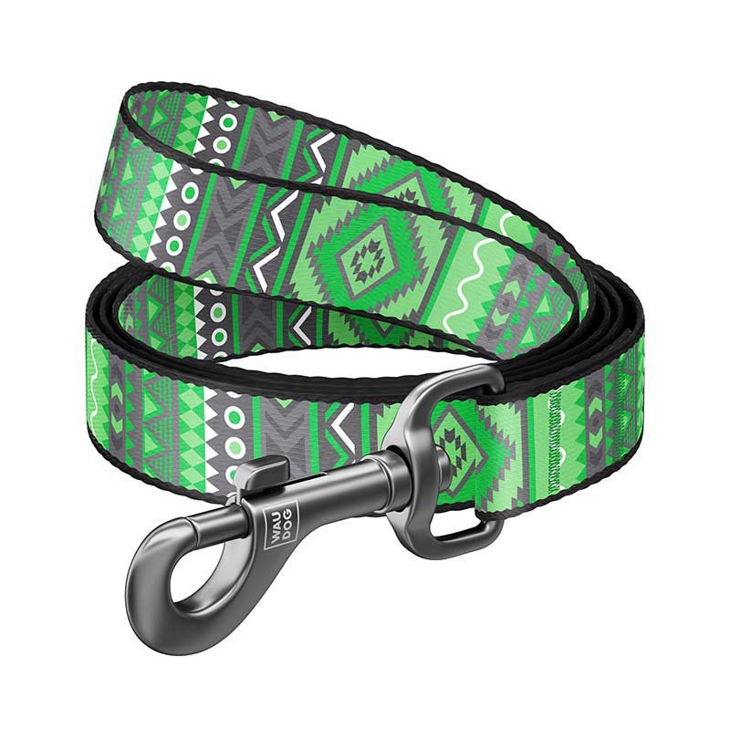 Laisse Nylon INDIE 10mm Pour Chien - Vert 1 Laisse Nylon INDIE 10mm Pour Chien - Vert
