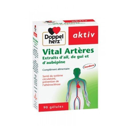AKTIV VITAL ARTERES 90 GELULES 1 aktiv vital arteres gelules