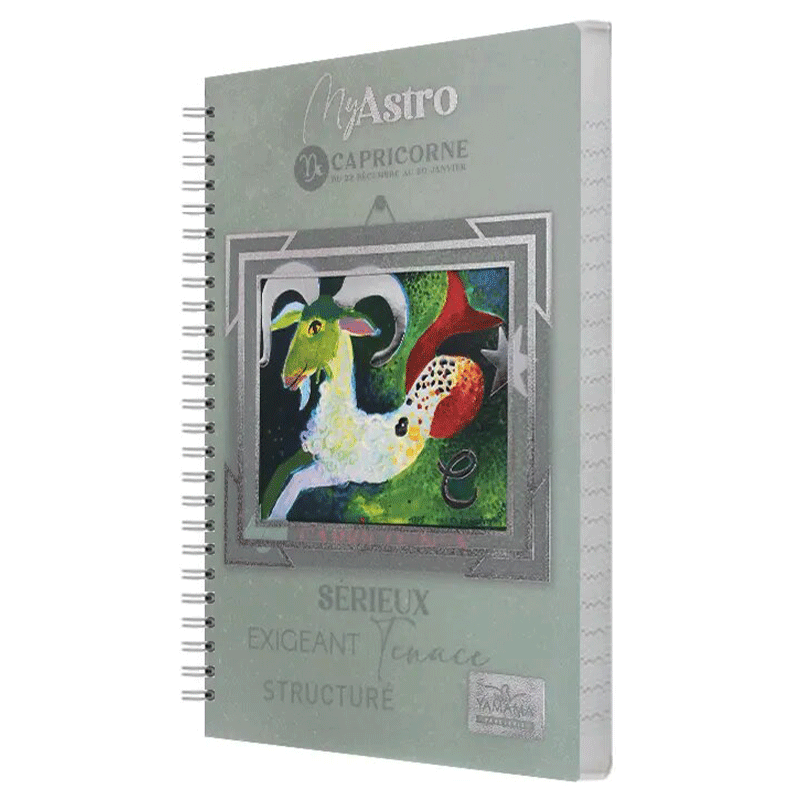 Cahier WIRO YAMAMA HOROSCOPE Capricorne Séyès 300 Pages 1 cahier wiro yamama horoscope capricorne seyes pages