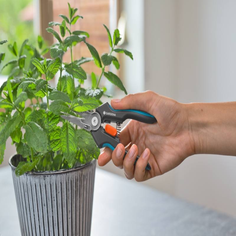 Ciseaux de Récolte GripCut (12213-20) GARDENA 6 ciseaux de r colte gripcut gardena