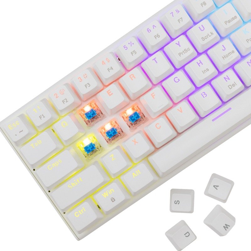 Clavier Gamer Filaire WHITE SHARK WAKIZASHI 2 US Blanc - Interrupteurs bleus 3 clavier gamer filaire white shark wakizashi us blanc interrupteurs bleus d