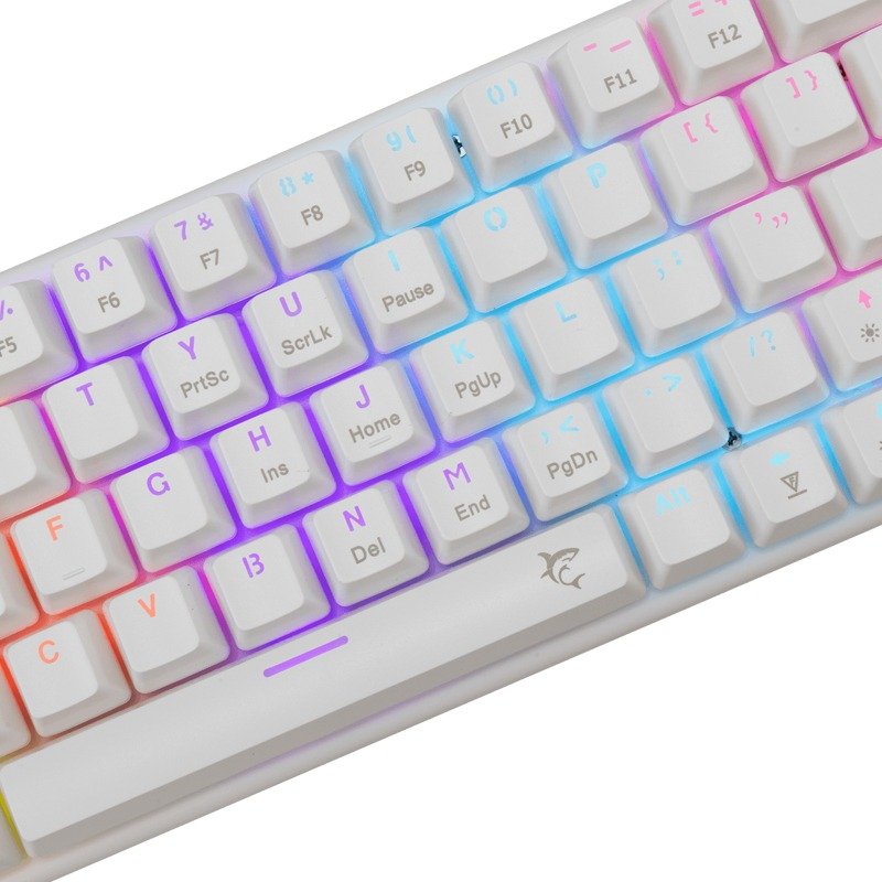 Clavier Gamer Filaire WHITE SHARK WAKIZASHI 2 US Blanc - Interrupteurs bleus 2 clavier gamer filaire white shark wakizashi us blanc interrupteurs bleus v
