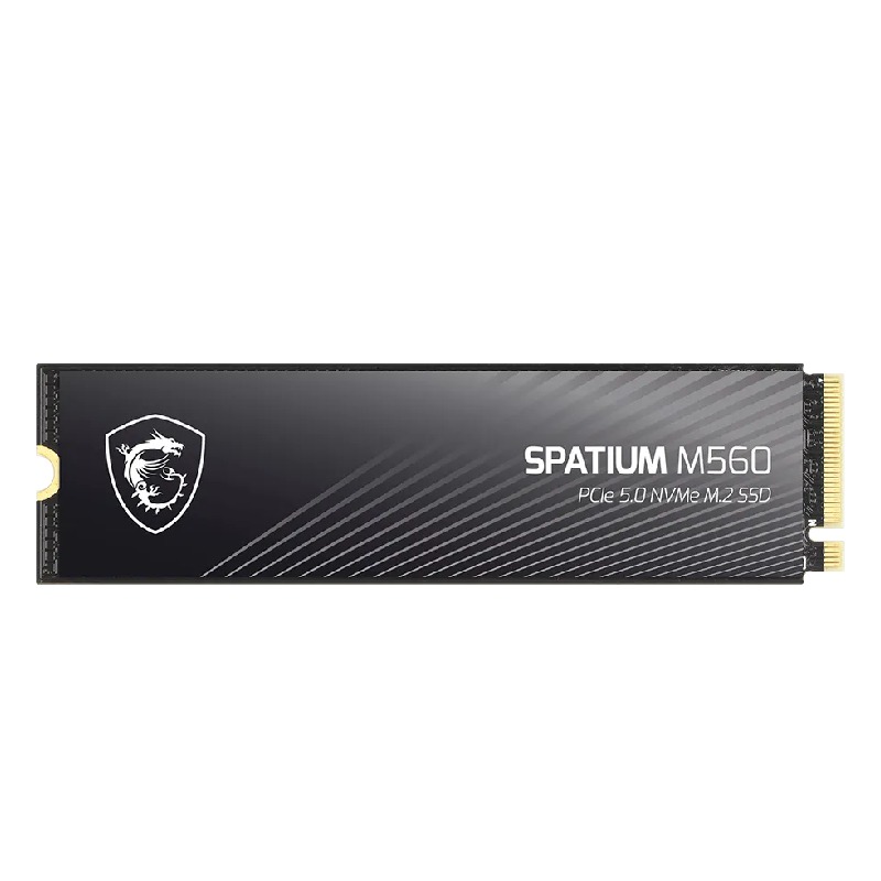 Disque Dur interne MSI SPATIUM M560 1To SSD PCIe 5.0 NVMe M.2 2 disque dur ssd msi spatium m pcie nvme m to