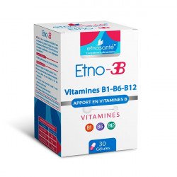 ETNOSANTE ETNO-3B APPORT EN VITAMINES B 30 GELULES 2 etnosante etno b apport en vitamines b gelules