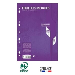 feuille mobile calligraphe perforees seyes pages a g s film