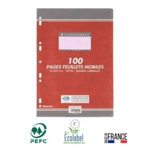 feuillets mobiles conquerant perforee a pages g