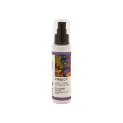 HERBEOS HUILE CONTRE LES POUX ET LES LENTES 100ML 2 herbeos huile contre les poux et les lentes ml