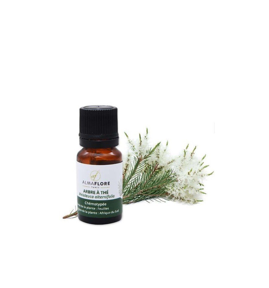 ALMAFLORE HUILE ESSENTIELLE ARBRE À THE 10ML 1 huile essentielle arbre a the almaflore ml