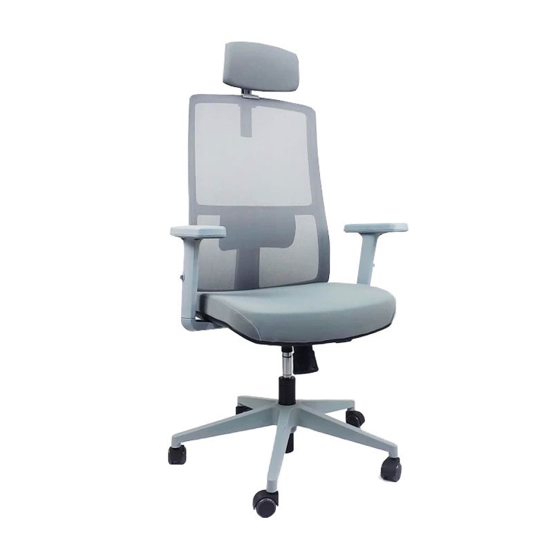 Chaise de Direction Geox Avec Accoudoirs & Repose tête - Gris 1 image