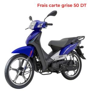moto zimota cc bleu azqs