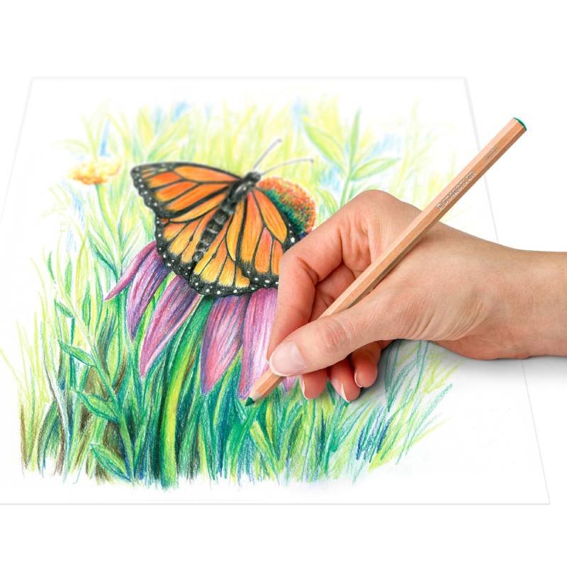 Pack de 12 Crayons de couleur STAEDTLER DESIGN JOURNEY 5 pack de crayons de couleur staedtler design journey