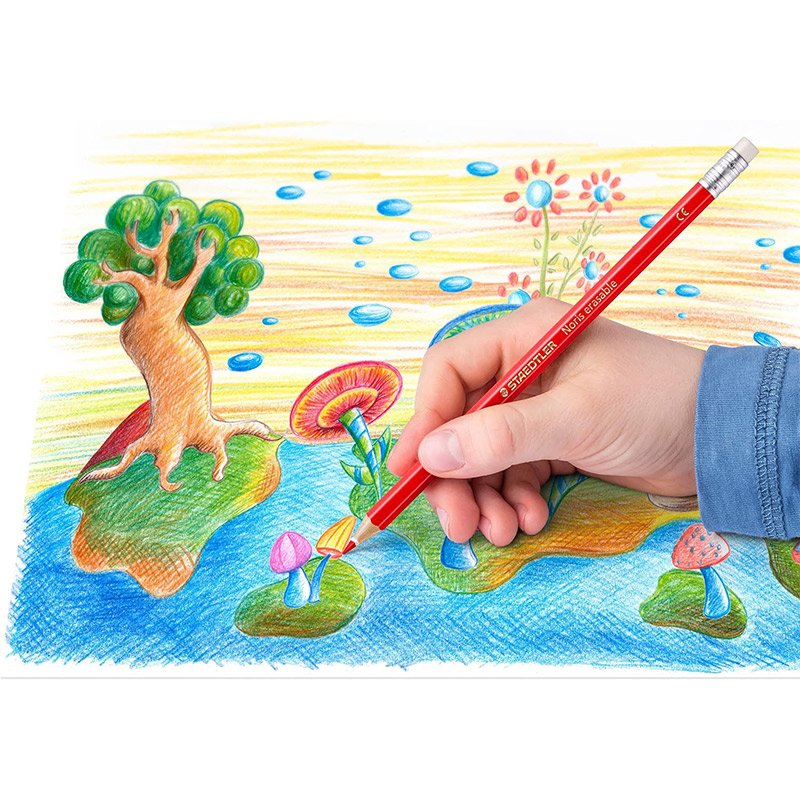 Pack de 12 crayons de couleur STAEDTLER 4 pack de crayons de couleur staedtler