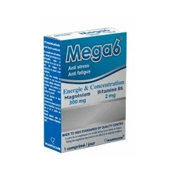 PHARMACARE MEGA 6, 45 COMPRIMES 4 pharmacare mega comprimes