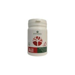 PHYTOKAD AIL 60 GELULES 2 phytokad ail gelules