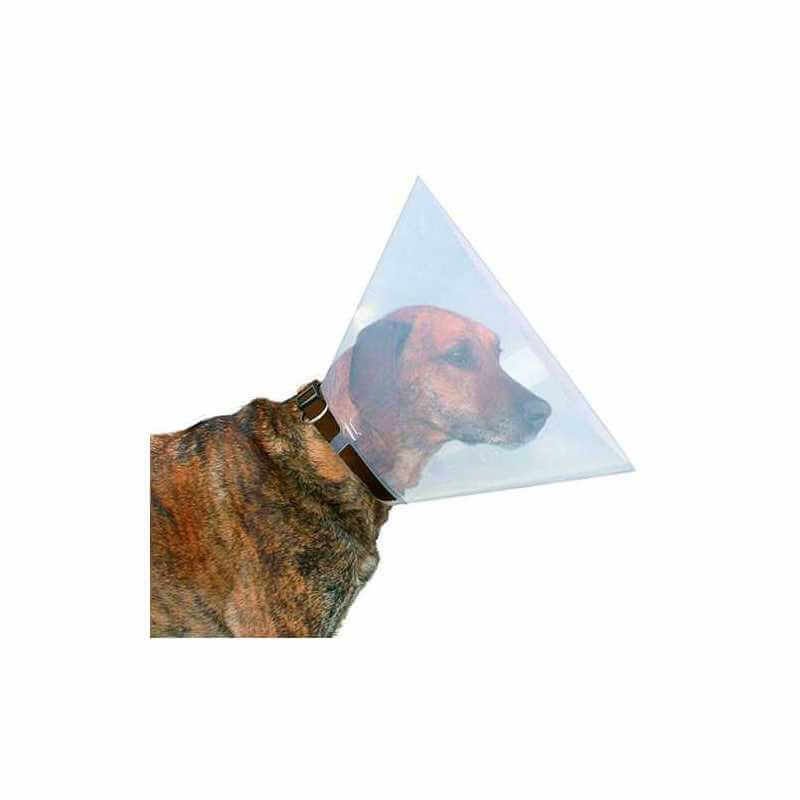 Collier de Protection FELICAN RECORD Pour Chien 20 cm - Transparent 3 sans titre