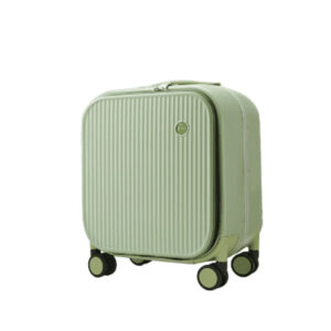 valise hanke m polycarbonate x small vert