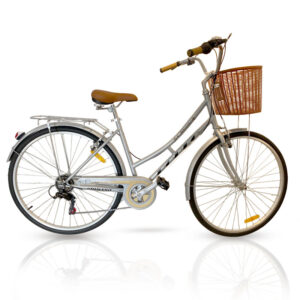 velo de ville rodeo cvs avec panier avant gris
