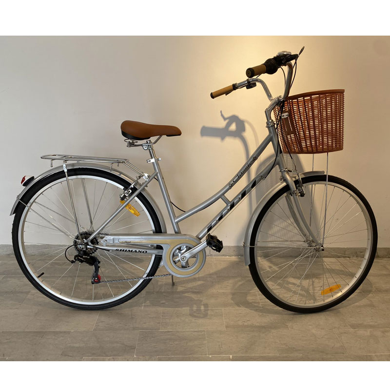 Vélo de Ville RODEO 6026-C6VS Avec Panier Avant - Gris 2 velo de ville rodeo cvs avec panier avant gris