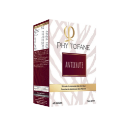 VITAL PHYTOFANE ANTI CHUTE 60 GELULES 2 vital phytofane anti chute gelules